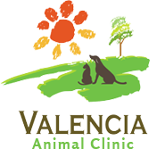 Veterinarian in Belen, NM | Valencia Animal Clinic