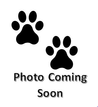 Paw